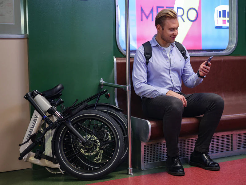 Electric Bike Himiway B3 Train