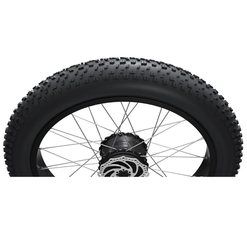 Electric Bike Himiway D5ProST Tire