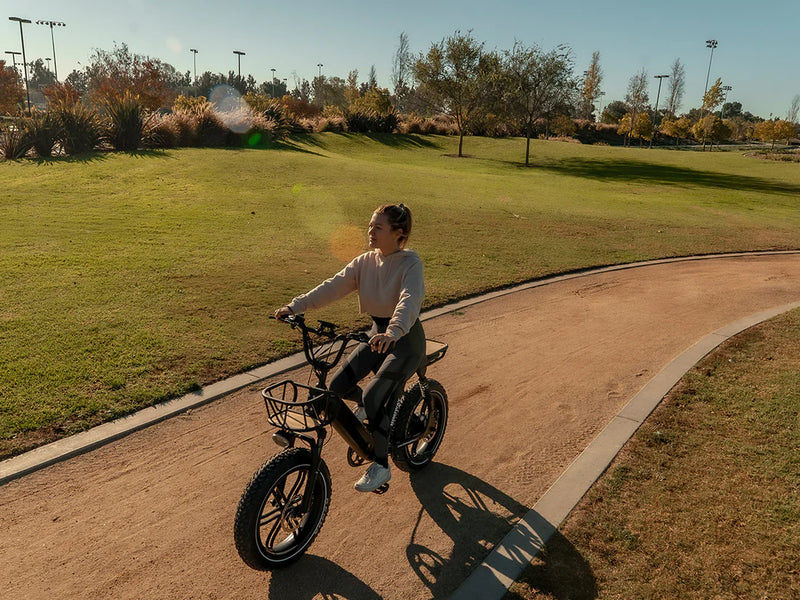 Electric Bike Himiway Park