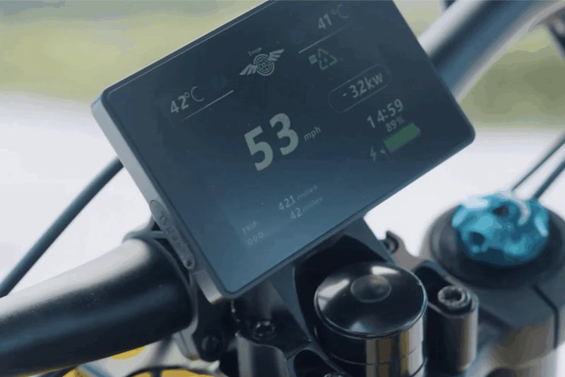 Electric Bike Freego Nova 5 Lifestyle 13