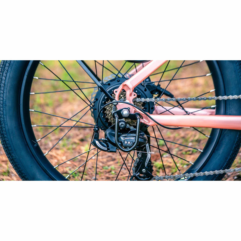 Electric Bike Eunorau META Step-Thru robust hub motor