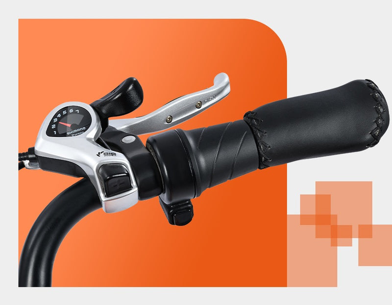 Electric Bike Addmotor Graoopro Throttle
