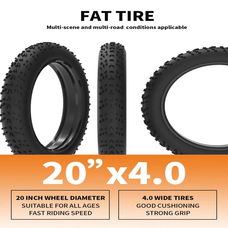 Electric Bike Aostirmotor G20 Tire
