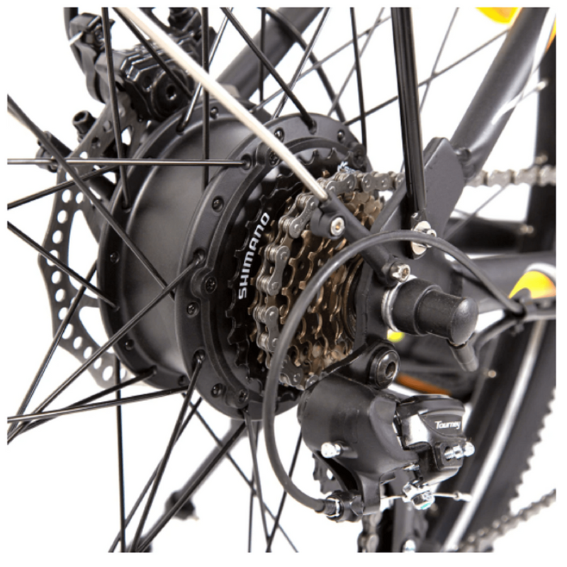 Electric Bike Ecotric Peacedove Hub